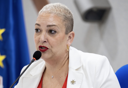 Dª. Natalia Rodríguez Novo (presidenta del Colegio Oficial de Enfermeros y Enfermeras de Santa Cruz de Tenerife): "Exigimos más enfermeras para poder cuidar a las personas con calidad, seguridad y excelencia"